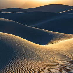 Panoramique Body Lines...