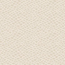 Papier peint Munro Moonbeam...