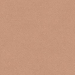 Papier peint Rythm Camel...