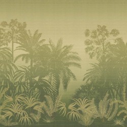 Panoramique Awarra Oasis...