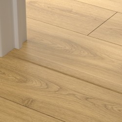 Profile incizo stratifié...