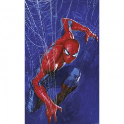 Panoramique Marvel...