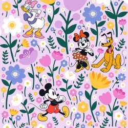 Panoramique Disney Mickey...