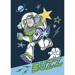 Affiche Disney Toy Story –...