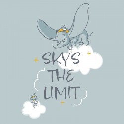 Affiche Disney Dumbo – Le...