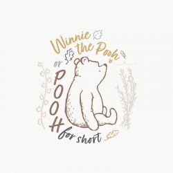 Affiche Disney Winnie...