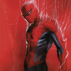 Affiche Marvel Spider-Man –...