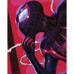 Affiche Marvel Spider-Man –...