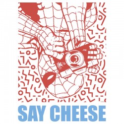 Affiche Marvel Spider-Man –...