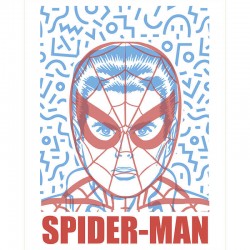 Affiche Marvel Spider-Man –...
