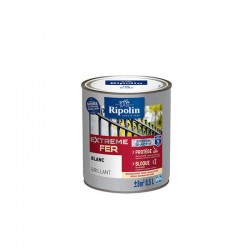 Peinture Extreme Fer...