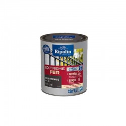 Peinture Extreme Fer...