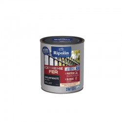 Peinture Extreme Fer...