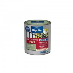 Peinture Extreme Fer...