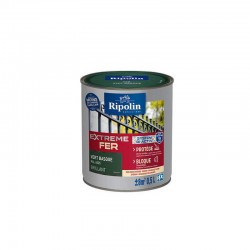 Peinture Extreme Fer...