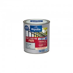 Peinture Extreme Fer...