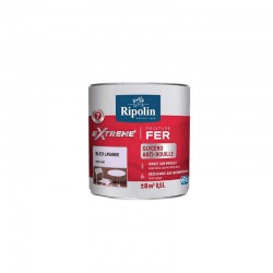 Peinture Extreme Fer...