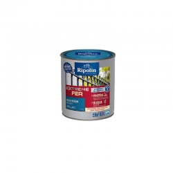 Peinture Extreme Fer...