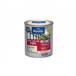 Peinture Extreme Fer...