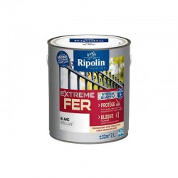 Peinture Extreme Fer...