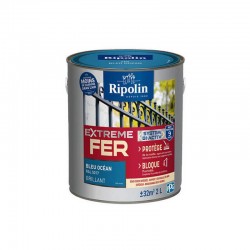 Peinture Extreme Fer...