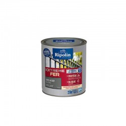 Peinture Extreme Fer...