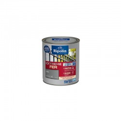 Peinture Extreme Fer Metal...
