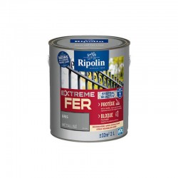 Peinture Extreme Fer Metal...