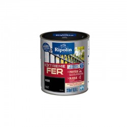 Peinture Extreme Fer Mat...
