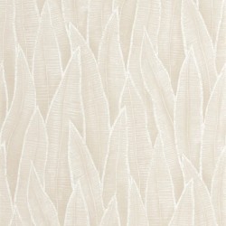 Papier Peint  Sansevieria...