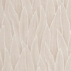 Papier Peint  Sansevieria...