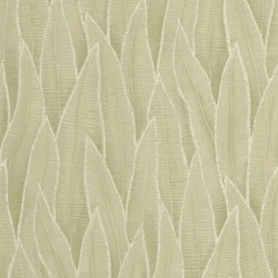 Papier Peint  Sansevieria...