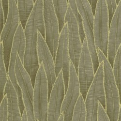 Papier Peint  Sansevieria...