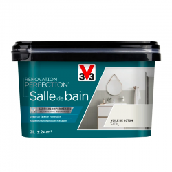 Peinture v33 renovation...