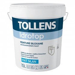 Peinture Idrotop Mat Silan...