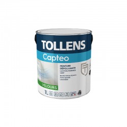 Peinture Captéo Velours 1L...