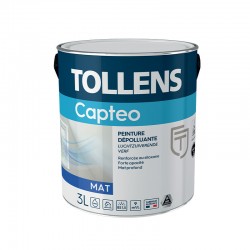 Peinture dépolluante Captéo...